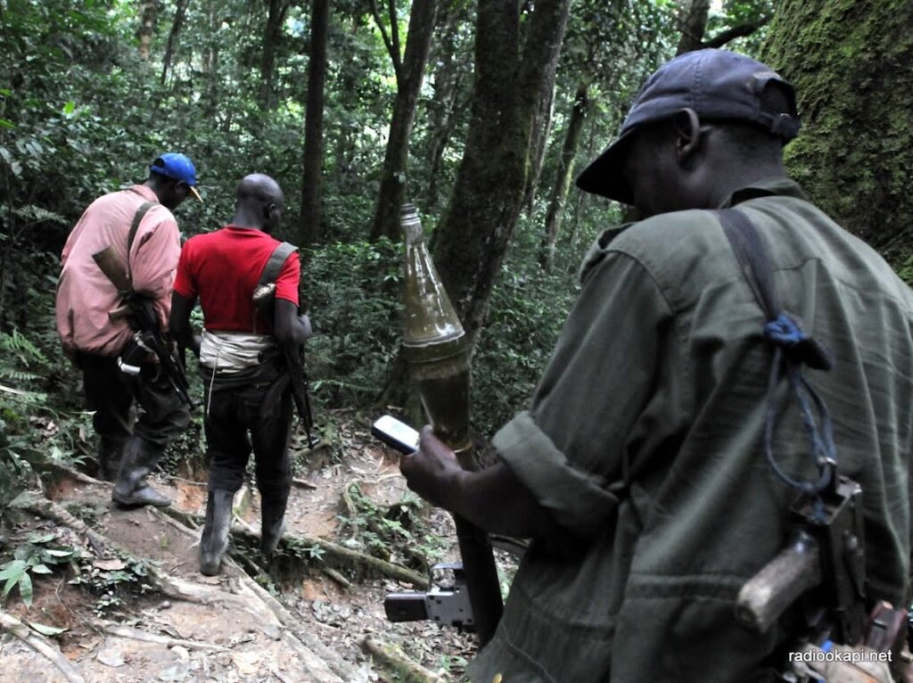 FDLR2